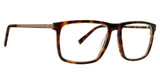 Trina Turk Eyeglasses Vittone Tortoise/TOR