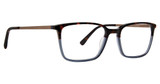 Argyleculture Eyeglasses Styles Tortoise/TOR