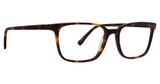 Argyleculture Eyeglasses Clay Tortoise/TOR