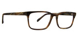 Badgley Mischka Eyeglasses York Brown Horn/BRH