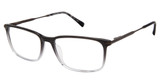 Ted Baker Eyeglasses TFM010 black/BLK