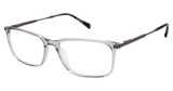 Ted Baker Eyeglasses TFM010 grey/GRY