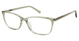 Ted Baker Eyeglasses TFW012 sage/SAG
