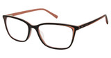 Ted Baker Eyeglasses TFW012 black/BLK