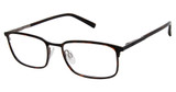 Ted Baker Eyeglasses TM516 black tortoise/BLK
