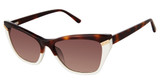 L.A.M.B. Eyeglasses LA584 tort/bone/TOR