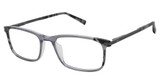 Ted Baker Eyeglasses TFM012 grey/GRY