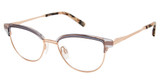 Ted Baker Eyeglasses TW517 grey/GRY