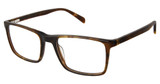 Superflex Eyeglasses SF-629 DEMI AMBER/S312