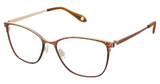 FYSH Eyeglasses FYSH 3712 BROWN GOLD/M202