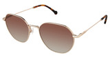 OTP Eyeglasses OTPS-2032 GOLD/S111