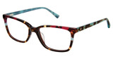 Ann Taylor Eyeglasses AT346 TORT MULTI/C02