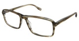 Evatik Eyeglasses EVATIK 9258 OLIVE SMOKE/S316