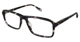 Evatik Eyeglasses EVATIK 9258 GREY TORT/S403
