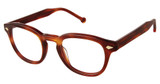 OTP Eyeglasses OTP-168 WHISKY/S412