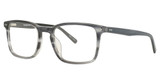 Vision's Eyeglasses PLAFV254 GREY HORN/C02