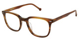 OTP Eyeglasses OTP-173 WHISKY/S412
