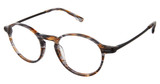 Evatik Eyeglasses EVATIK 9260 CHARCOAL COPPER STRIPE/S403