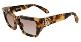 Roberto Cavalli Eyeglasses SRC016 Havana/Camo 0AGG