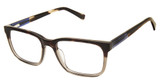 Botaniq Eyeglasses BIO5023T tortoise/TOR