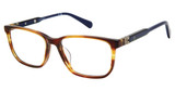 Sperry Eyeglasses BREAKER BROWN HORN/C02