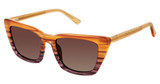 Nicole Miller MONACO BROWN FADE/C03