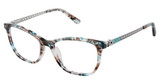 Nicole Miller Eyeglasses SOPHIA BROWN/GREEN/C02