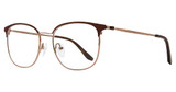 Visi Eyeglasses VS100 Brown/Gold/BROWN