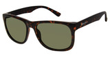 Eddie Bauer Eyeglasses EB 39413P Tortoise/TT