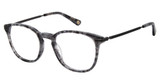 Glen Lane Eyeglasses CONLEY SLATE/SLT