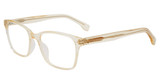 GAP Eyeglasses VGP234 Champagne 0CHA