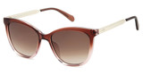 Fossil Eyeglasses FOS 3142/S BROWN/009Q