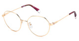 Polaroid Eyeglasses PLD D490/G GOLD COPP/0DDB