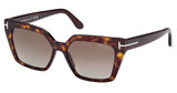 Tom Ford Eyeglasses FT1030 dark havana / brown polarized/52H