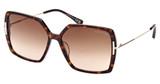 Tom Ford FT1039-F dark havana / gradient brown/52F