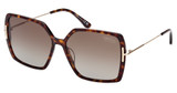Tom Ford Eyeglasses FT1039 dark havana / brown polarized/52H