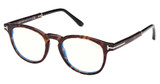 Tom Ford Eyeglasses FT5891-B havana/other/056