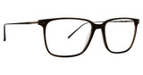 Argyleculture Eyeglasses Bridger Brown Horn/BRH