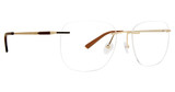 Totally Rimless Edgewood(362) Gold/GLD