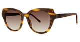 Paradigm Eyeglasses Bronte Tortoise/TO