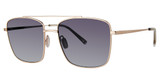 Paradigm Eyeglasses Kolohe Gold/YG