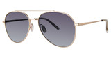 Paradigm Yago Gold/YG