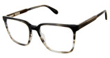 Cremieux Eyeglasses Classico Black Horn/BLACK HORN