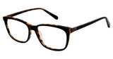 Exces Eyeglasses 173 BLACK-TORTOISE/301