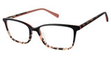 Ted Baker Eyeglasses TFW015 black/BLK