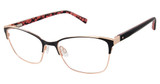 Ted Baker Eyeglasses TW521 black/BLK