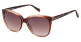 Fossil Eyeglasses FOS 3147/G/S CRYSBRWN C/0FL4