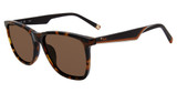 Fila Eyeglasses SFI461 Havana C10P