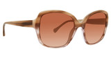 Trina Turk Eyeglasses Fitzroy Brown/BRN