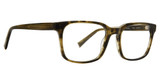 Trina Turk Eyeglasses Thorton Olive/OLV